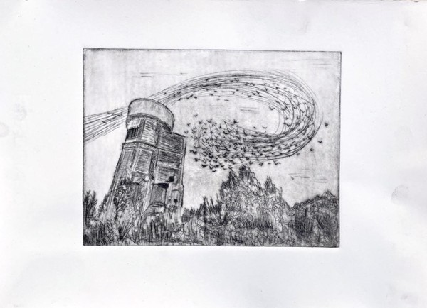 Murmuration (plexiglas)