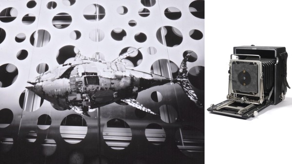 Sppedgraphic, pinhole board, photo paper