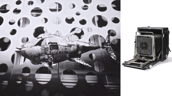 Sppedgraphic, pinhole board, photo paper